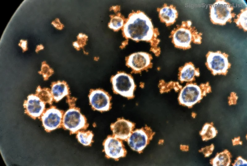 Aidant et patient partageant un moment de calme face au cancer de la vessie