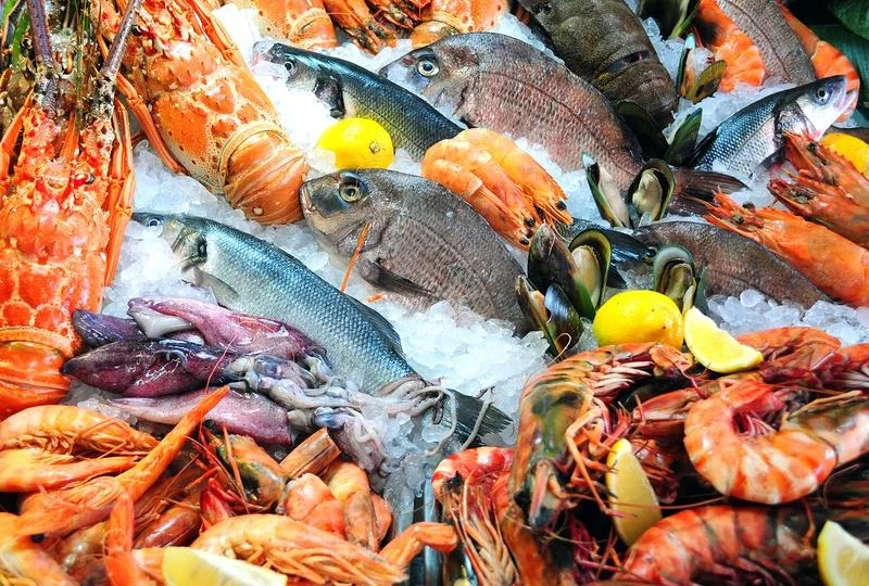 Можно ли есть морепродукты после татуажа губ?