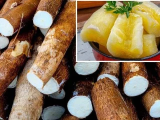 Отравление маниокой: Симптомы и лечение