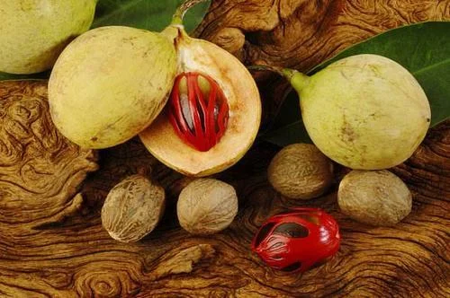 Pala: Penggunaan ajaib untuk mengobati gangguan pencernaan