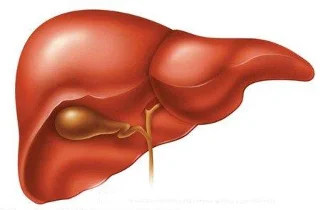 Farmaci Chophytol e cose da notare