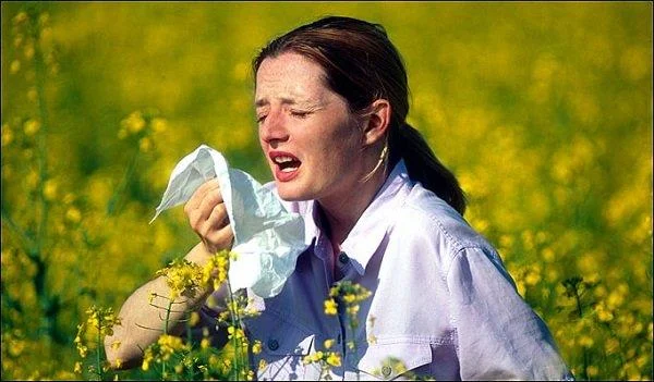 Tudo o que você precisa saber sobre Flusort spray nasal (propionato de fluticasona)