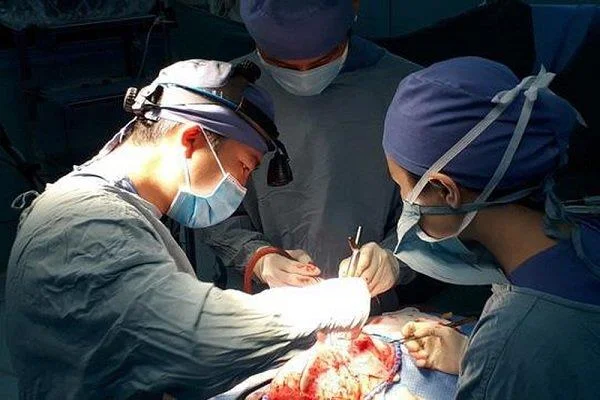 Лобная доля: анатомическая структура и функция