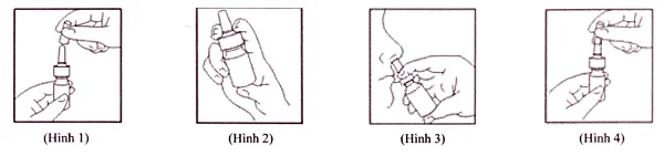 Tudo o que você precisa saber sobre Flusort spray nasal (propionato de fluticasona)